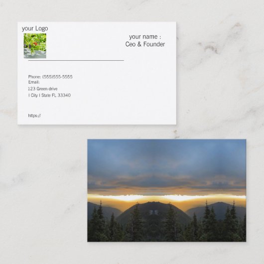 名刺 (正面/裏面)