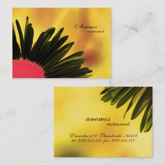 名刺 (正面/裏面)