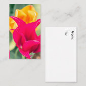 名刺 (正面/裏面)