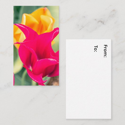 名刺 (正面/裏面)