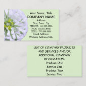 名刺 – レモンホワイト《植物》百日草 (正面/裏面)