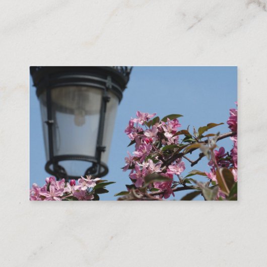 名刺（写真） 名刺 (裏面)