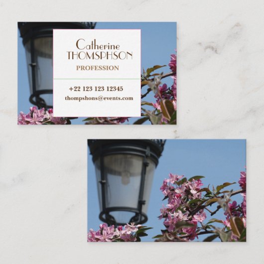 名刺（写真） 名刺 (正面/裏面)