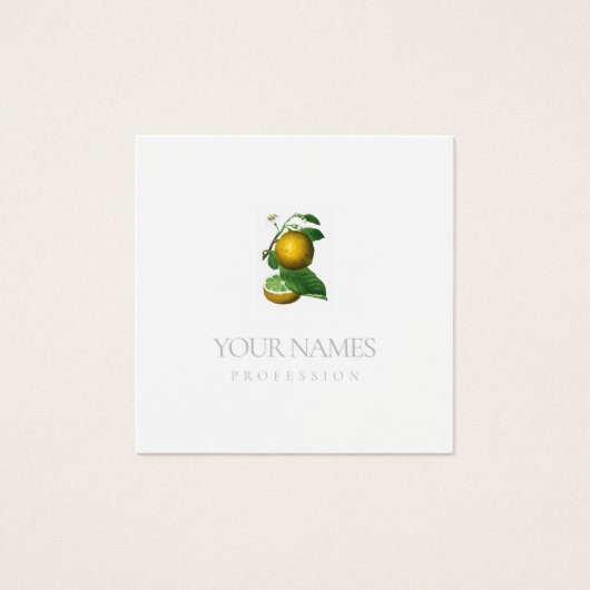 名刺:柑橘類 (正面)