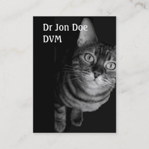 名刺(VET IV) 名刺