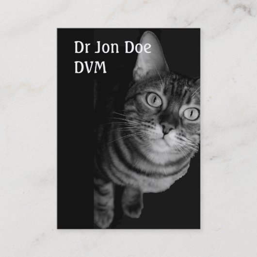 名刺(VET IV) 名刺 (正面)