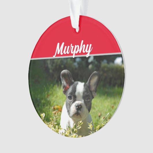 名前と写真のクリスマス付きボストンテリア犬 オーナメント (正面)