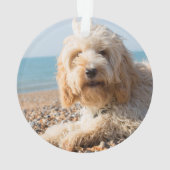 名前と写真付きブラウンコッカプー犬 オーナメント (裏面)