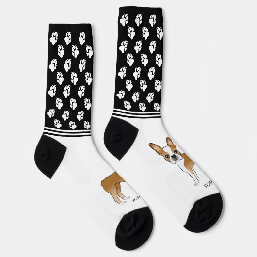 名前と前足を持つ茶色と白のボストンテリア ソックス (右)