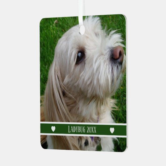 名前と年をカスタマイズできるペットの写真オルナメント メタルオーナメント (正面左)