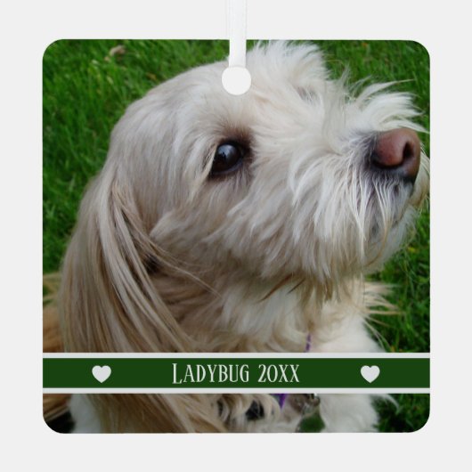 名前と年をカスタマイズできるペットの写真オルナメント メタルオーナメント (裏面)