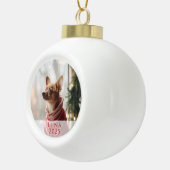 名前と年を入れたペットの写真 クリスマスオーナメント セラミックボールオーナメント (右)