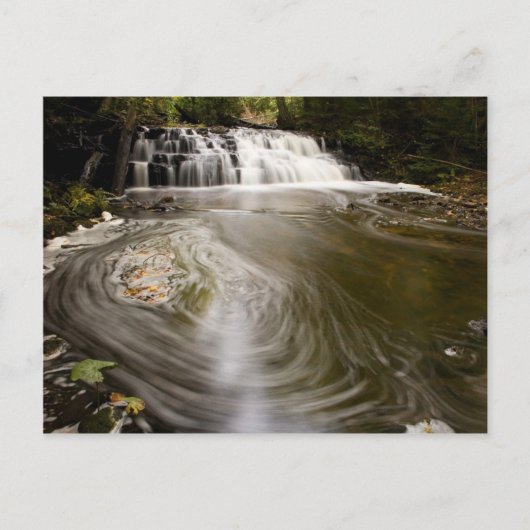 名前のない秋 ポストカード (正面)