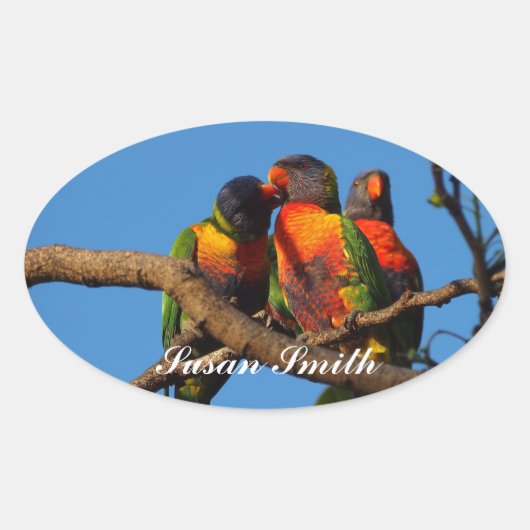名前の付いた楕円形の写真ステッカー – Rainbow Lorikeet 楕円形シール (正面)