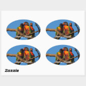 名前の付いた楕円形の写真ステッカー – Rainbow Lorikeet 楕円形シール (シート)