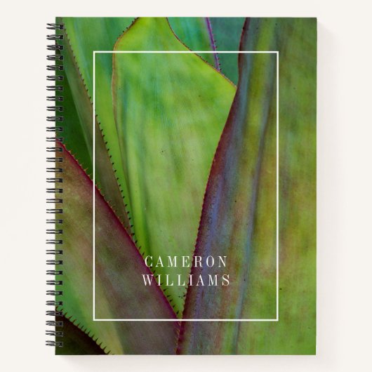 名前の追加 |アガベ植物詳細 ノートブック (正面)