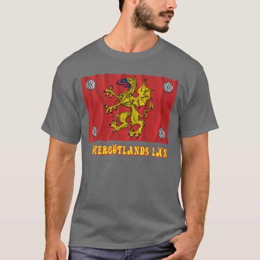 名前のÖstergötlandsのlänの振る旗 Tシャツ (正面)