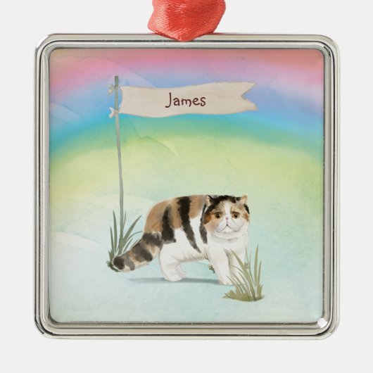 名前をカスタムするエキゾチック短毛キャットペット メタルオーナメント (正面)