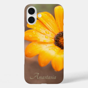 名前をカスタムするオレンジデイジークローズアップ写真 iPhone 16 PLUSケース