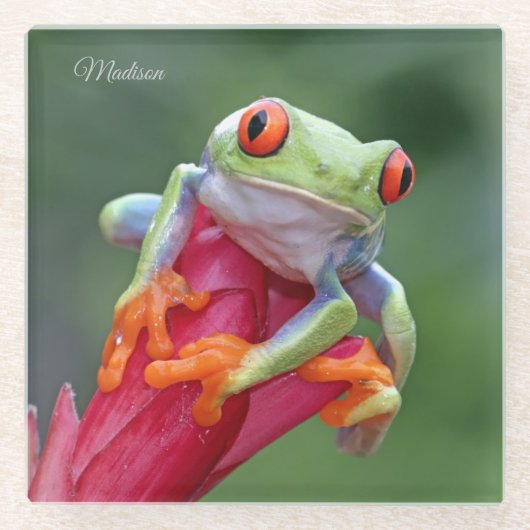 名前をカスタムするカエル ガラスコースター (正面)