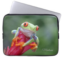 名前をカスタムするカエル