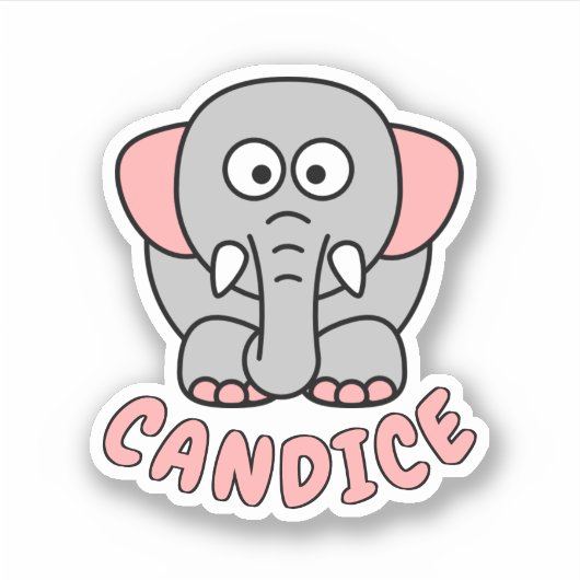 名前をカスタムするゾウ動物園 シール (正面)