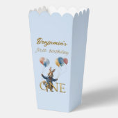 名前をカスタムするピーターザラビットファースト誕生日 フェイバーボックス (正面)