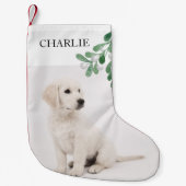 名前をカスタムするペットドッグフォトクリスマスホリデー スモールクリスマスストッキング (正面)