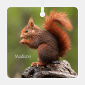 名前をカスタムするリス メタルオーナメント (正面)