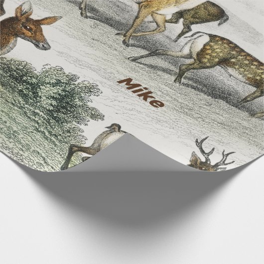 名前をカスタムするレッドディアハート、ヒンド、ローバックムスクディアー ラッピングペーパー (角)