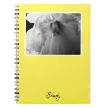 名前をダッフォディル ブラックアンドホワイト フォトグラフィー