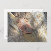 名前を「ストロベリー」に変更 ポストカード (正面/裏面)