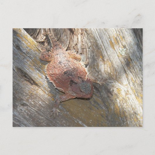 名前を「ストロベリー」に変更 ポストカード (正面)