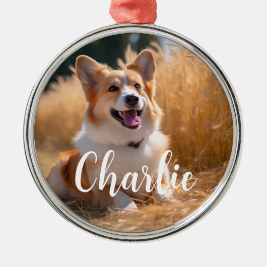 名前カスタム付きペット写真 メタルオーナメント (正面)