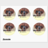 名前シールの追加 ラウンドシール (シート)