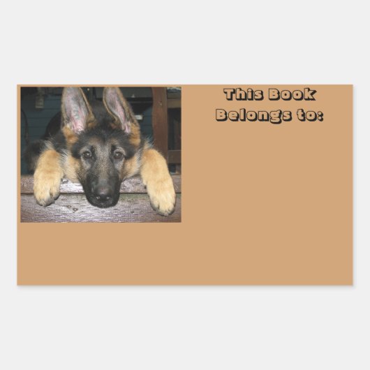 名前ステッカーに所属 長方形シール (正面)