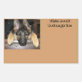 名前ステッカーに所属 長方形シール