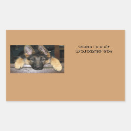 名前ステッカーに所属 長方形シール