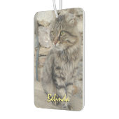 名前パーソナライズされたとフォトカーの追加 カーエアーフレッシュナー (左)