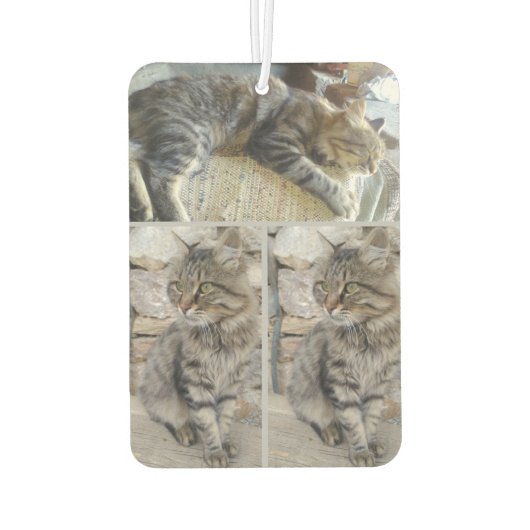 名前パーソナライズされたとフォトカーの追加 カーエアーフレッシュナー (裏面)