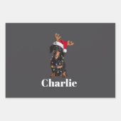 名前パーソナライズされたクリスマスダッシュント犬のライト ラッピングペーパーシート (正面)