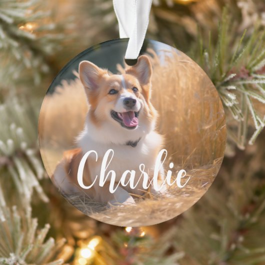 名前付きオリジナルペット写真 オーナメント (ツリー)