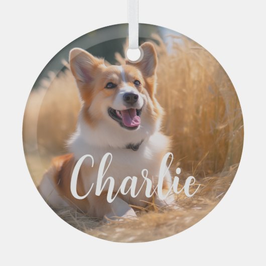 名前付きオリジナルペット写真 ガラスオーナメント (正面)