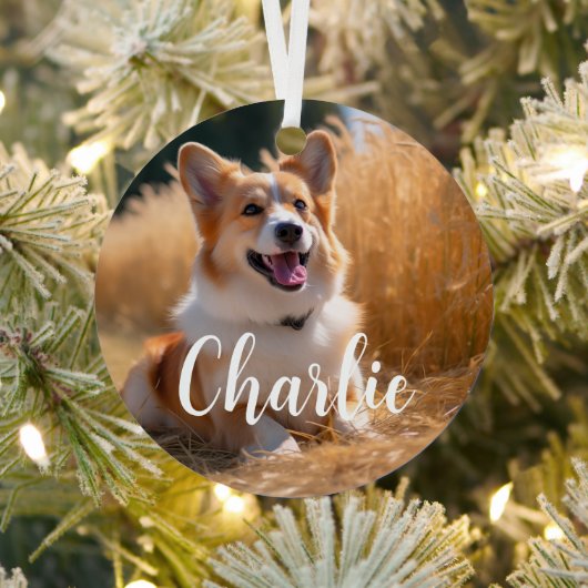 名前付きオリジナルペット写真 メタルオーナメント (インサイチュ)