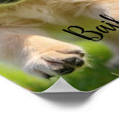 名前付き犬の写真ポスター壁アート ポスター (角)
