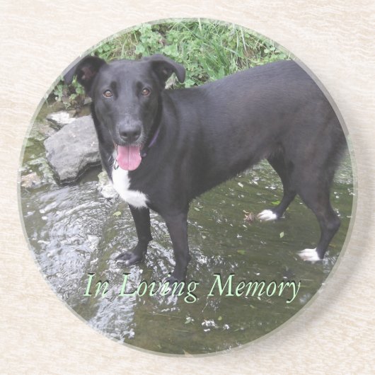 名前入りな写真の砂岩コースターをカスタマイズ コースター (正面)