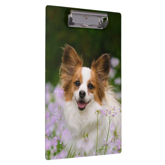 名前入りなPapillon犬のかわいくロマンチックなポートレート- クリップボード (右)