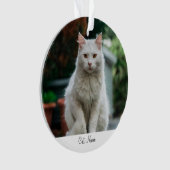名前入りの猫の写真オーナメント オーナメント (正面)