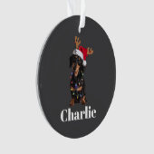 名前入りクリスマスダックスフンド犬ライト オーナメント (正面)