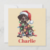 名前入りドイツ系ショートヘアーポインター クリスマス (正面)